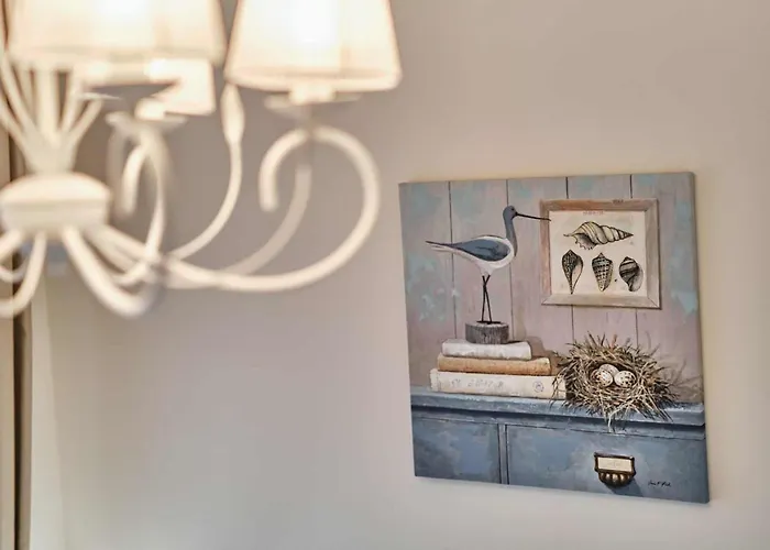 South Bay - Monk Warna